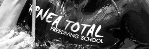 Free diving, Freediving Courses, Koh Tao