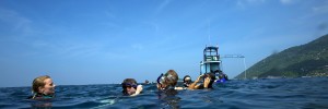 Free diving, Freediving Courses, Koh Tao, Instructor