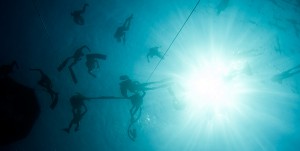 Free diving, Freediving Courses, Photos