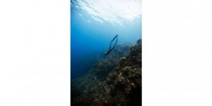 Free diving, Freediving Courses, Photos
